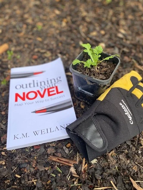Cover image for the blog post: Cultivating a growth mindset in your creative practice: Yes, there's always more to learn